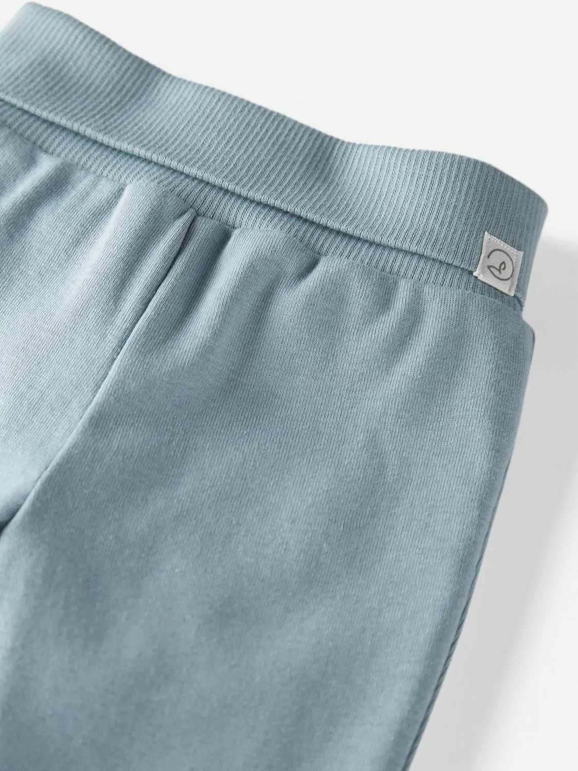 little planet by carter's Baby 2-Pack Joggers Made with Organic Cotton