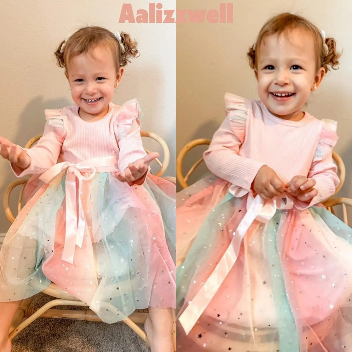 Toddler Girl Long Sleeve Tulle Dress 1-5 Years