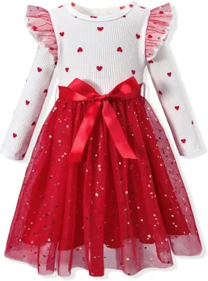 Toddler Girl Long Sleeve Tulle Dress 1-5 Years